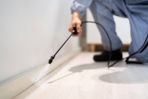 Licensed Termite Control service in Buchanan County County, VA - Nex Pest Control