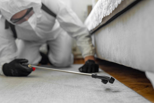 Professional Termite Control technician working in Buchanan County County, VA